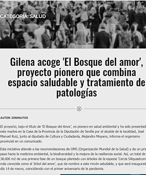 El-Bosque-del-Amor-Medios-4