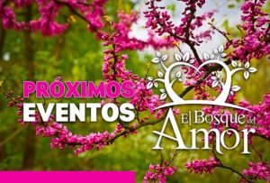 banner-proximos-eventos-el-bosque-del-amor